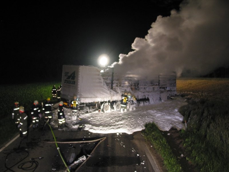 img (50).JPG